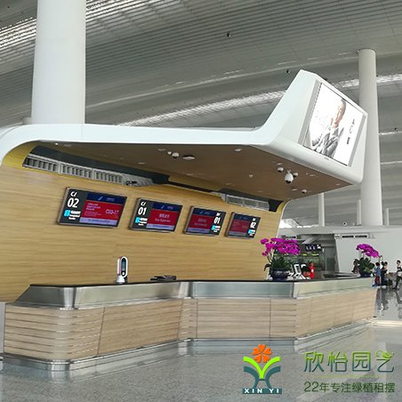 南航國際機場