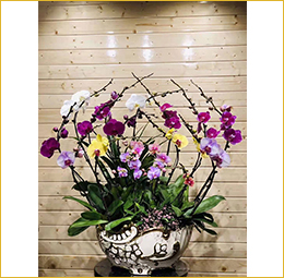 插花藝術(shù)—10